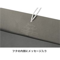 ヘッズ ニューモダン舟形ペーパーバッグ-2 30枚(10枚×3) NMD-B2P 1セット(30枚入)（直送品）