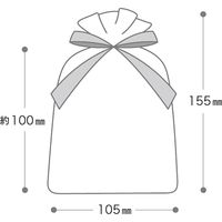 ヘッズ オーガンジーバッグ/シャンパンゴールド-S OGC-BS 1セット(50枚:10枚×5組)