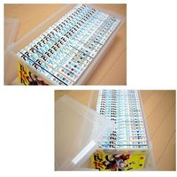 グリーンパル マルチケース(コミック・ビデオ) クリアタイプ 4976131810664 1セット(10個入)