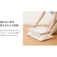 アイ・エル・シー 扉つき折りたたみコンテナ_ベージュ CB51NRL片扉L-BE 1個