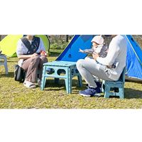 アイ・エル・シー アウトドアコンパクトチェア LG-SC320TA 1セット(12個入)（直送品）