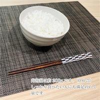 パックごはん 加賀飯 200gタイプ1セット(36食入)