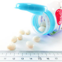 噛むブレスケア 息リフレッシュグミ スッキリクールミント ボトルタイプ お得な80粒 1個 小林製薬