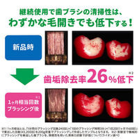 システマ ハブラシ コンパクト3列 スリムヘッド やわらかめ 歯周病ケア 1セット（2本）ライオン