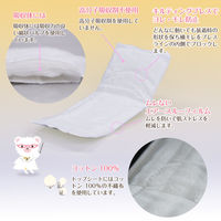 【生理用品】 ナプキン ふつうの日用 羽なし 21cm ナチュラムーン 1セット（24枚入×2個） G-Place