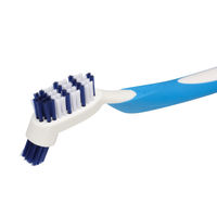 義歯ブラシ 入れ歯ブラシ ポリデント 入れ歯の歯ブラシ Haleonジャパン