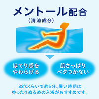 入浴剤 バブ クール 涼やかミントの香り メントール配合 透明タイプ  12錠入 1箱 医薬部外品 花王