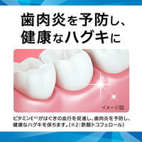 セッチマ はみがき デイリータイプ 80g スタンディングタイプ 1セット（2本） サンスター settima 歯磨き粉 美白 ホワイトニング 歯周病