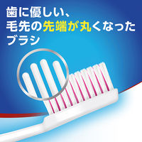 アクアフレッシュ ハブラシ ふつう 1セット（6本） 歯ブラシ Haleonジャパン