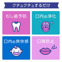 マウスウォッシュ 子供 むし歯予防 モンダミンキッズ ぶどう味 600mL 1セット(2本) ノンアルコール 磨き残し アース製薬