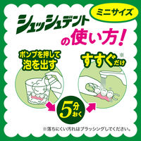 【入れ歯洗浄剤】 ディープクリーン シュッシュデント ミニサイズ 80ml 3個 花王 入れ歯洗浄剤