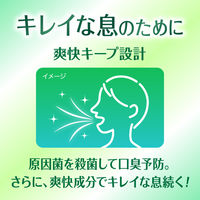 クリアクリーンNEXDENT（ネクスデント） フレッシュミント 110g 1セット（3本） 息までキレイ 花王 歯磨き粉 口臭