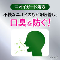 ディープクリーン 薬用ハミガキ 口臭ケア 100g 1セット（2本） 花王