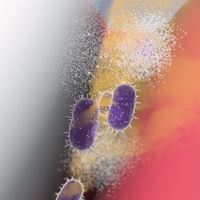 歯磨き粉 生葉 （しょうよう） 息スーッと実感タイプ 歯槽膿漏を防ぐ 薬用ハミガキ しつこい口臭に 100g 1セット（2本）小林製薬