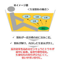 バスクリン 薬湯 温感EX パシフィックハーブの香り 600g お湯の色 和漢オレンジ（透明タイプ）