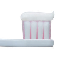 デントヘルス 薬用ハミガキ しみるブロック 28g ライオン 歯磨き粉 歯周病予防