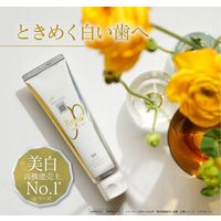 歯磨き粉 ホワイトニング アパガード プレミオ プレミアムタイプ 53g サンギ