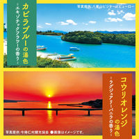 入浴剤 バスロマン 旅する沖縄 バスソルト 4種アソート 1セット（12包入×4箱） アース製薬