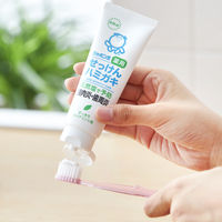 歯磨き粉 シャボン玉薬用せっけんハミガキ 80g 1セット（2本）シャボン玉石けん