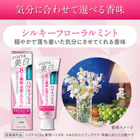 歯磨き粉 ホワイトニング システマ ハグキプラス プレミアムハミガキ シルキーフローラルミント 95g 1セット（2本）ライオン