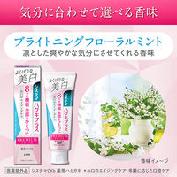 システマ ハグキプラス プレミアムハミガキ よくばりな美白 ブライトニングフローラルミント 95g 1セット（2本）ライオン 歯磨き粉 ホワイトニング