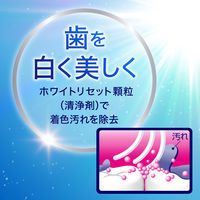 歯磨き粉 ホワイトニング クリアクリーン プレミアム 美白 パールミントの香味 大容量 160g 1セット（3本） 花王