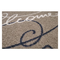 wash+dry薄型で丈夫な洗える玄関マット Swinging Welcome 50×75cm A015A 1枚 クリーンテックス・ジャパン（直送品）