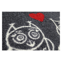 wash+dry薄型で丈夫な洗える玄関マット We are Family 50×75cm G023A 1枚 クリーンテックス・ジャパン（直送品）