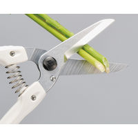 アルスコーポレーション ロングファミリーデラックス 140L-DX 1個