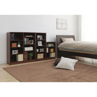 アイリスオーヤマ オープン本棚 スペースフィットラック 幅400×奥行290×高さ600mm ウォールナット S-SFR6040 カラーボックス 1台（直送品）