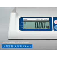 取引証明用（検定付）デジタルはかり SK2000i-A2＜地区2＞≪ひょう量:2000g 最少表示:2g≫ エーアンドデイ（直送品）