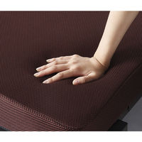 アイリスオーヤマ 折りたたみベッド 幅910×奥行2010×高さ345mm OTB-TRN 1台　（直送品）