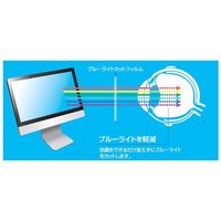 ナカバヤシ エキショウホゴフィルム GBLC14.0WIN SF-FLGBK140W 1個