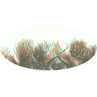 クリーンテックス・ジャパン スクレイプマットS　シルバー　60×90cm PS0O7R10O0N0NCA7J 1枚