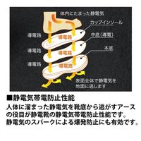 ミドリ安全 JSAA認定 耐滑 作業靴 プロスニーカー LSSー701 静電 24.0cm ブラック 2125044607 1足（直送品）