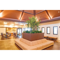 タカショー 人工観葉植物 黒竹 5本立 1.5m（直送品）