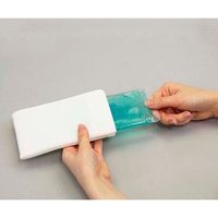 アズワン プロシェアやわらか保冷枕用 カバー(ミニミニ用) 8-2598-13 1セット(2個)（直送品）