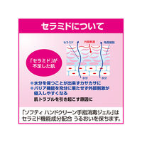 花王 ソフティ ハンドクリーン手指消毒ジェル 60mL 業務用 8-6622-01 1セット(5本)（直送品）