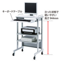 サンワサプライ　ハイスタンド（W631×D510mm）　ワゴンラック　RAC-317NK　（直送品）