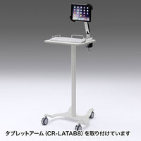 サンワサプライ　マルチカートII　カルテカート　RAC-MULTCT2　（直送品）