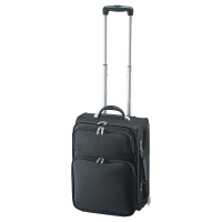 サンワサプライ PCトラベルキャリー ブラック/14インチワイドまで対応 BAG-CR1TN 1個（直送品）