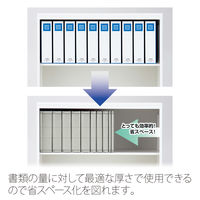 プラス 背幅伸縮セノバス 間伐材 A4S GY FL-021SK 1冊