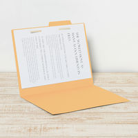 プラス 間伐材 個別フォルダーA4E YL 86957 1冊