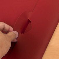 プラス SWPエンベロープヨコ 119CH RD 88732 1枚（直送品）