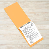 プラス　フラットファイルA5E縦罫線タイプYL　98277　（直送品）