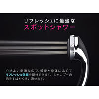 カクダイ ボッシーニマーサージシャワーヘッド(メタリック) GA-FC005 1個