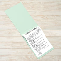 プラス フラットファイルB5E縦罫線タイプBL 98265 1冊（直送品）