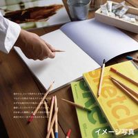 マルマン スケッチパッド SOHO B5 100枚 SOHO501 1冊