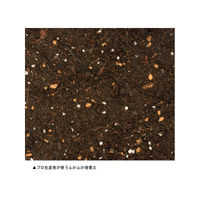 未来アグリス　PD COLLECTION　ふかふか培養土+ルーツポーチ　12L　グリーン　　　　（直送品）