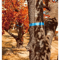 シンワ測定 マーキングテープ　30mm×50m　ブルー 74125 1セット（10個入）